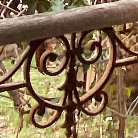 Click! Omg & Pool - The Secret Madine Cocoon In Provence - Walk To Sea Private ヴィラ レ・レック