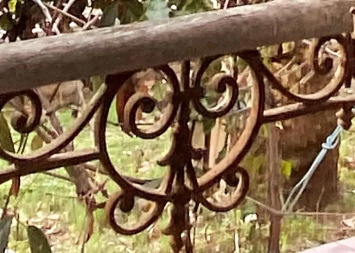 Click! Omg Pool The Secret Madine Cocoon In Provence فيلة ليه ليكيه